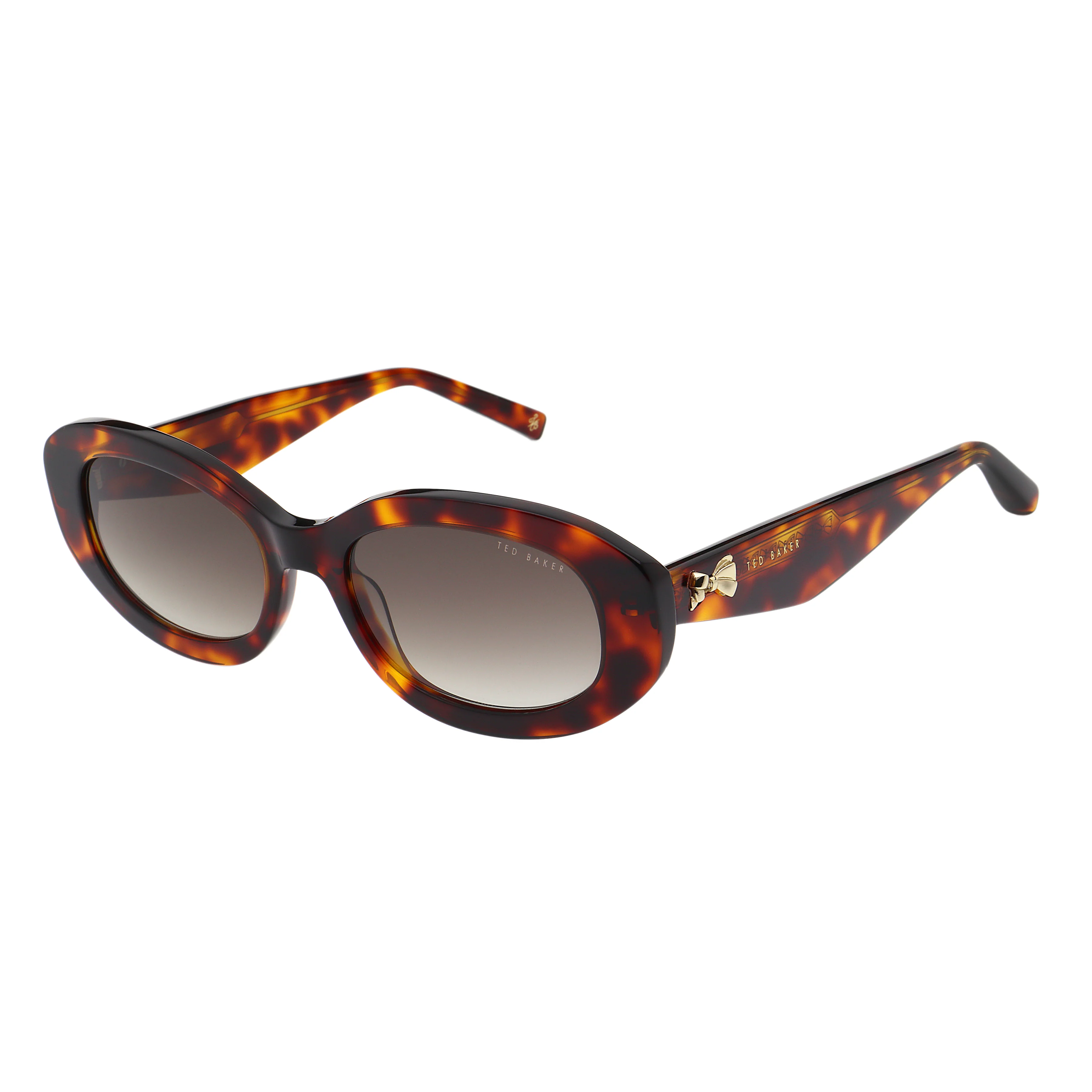 DAISIE | CLASSIC TORT - Image 2